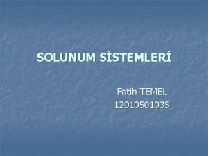 SOLUNUM SSTEMLER Fatih TEMEL 12010501035 Konunun erii Solunum