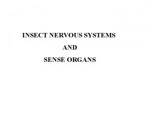 INSECT NERVOUS SYSTEMS AND SENSE ORGANS Types of