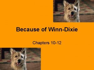 Because of WinnDixie Chapters 10 12 amazed amazed