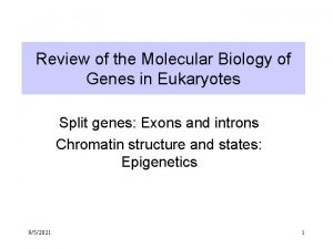 Review of the Molecular Biology of Genes in