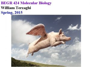 BEGR 424 Molecular Biology William Terzaghi Spring 2015
