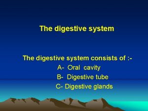 The digestive system consists of A Oral cavity