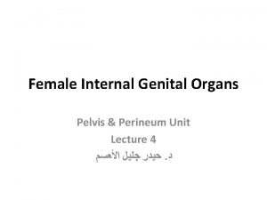 Female Internal Genital Organs Pelvis Perineum Unit Lecture