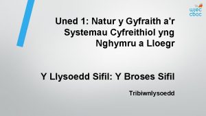 Uned 1 Natur y Gyfraith ar Systemau Cyfreithiol