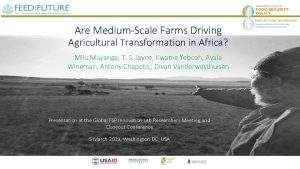 Are MediumScale Farms Driving Agricultural Transformation in Africa