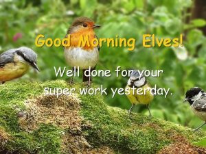 Good Morning Elves Well done for your super