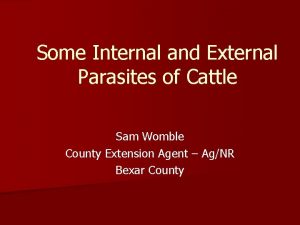 Some Internal and External Parasites of Cattle Sam