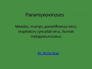 Paramyxoviruses Measles mumps parainfluenza virus respiratory syncytial virus