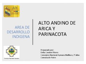 AREA DE DESARROLLO INDIGENA ALTO ANDINO DE ARICA