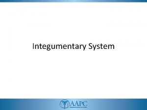 Integumentary System CPT copyright 2011 American Medical Association