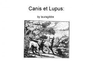 Canis et Lupus by lauragibbs Canis et Lupus
