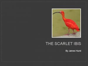 THE SCARLET IBIS By James Hurst FORMAT FOR