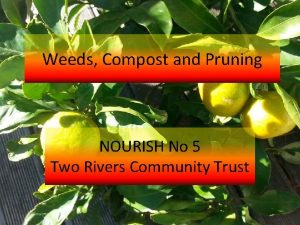 Weeds Compost and Pruning NOURISH No 5 Two