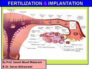 FERTILIZATION IMPLANTATION By Prof Saeed Abuel Makarem Dr