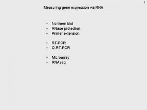 1 Measuring gene expression via RNA Northern blot