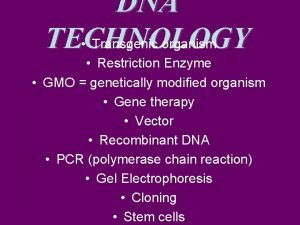 DNA TECHNOLOGY Transgenic organism Restriction Enzyme GMO genetically