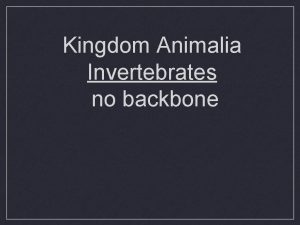 Kingdom Animalia Invertebrates no backbone What is an