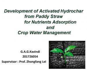 Development of Activated Hydrochar from Paddy Straw for