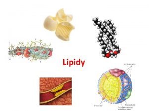 Lipidy Lipidy chemicky i funkn rznorod nzkomolekulrn ltky