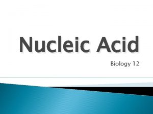 Nucleic Acid Biology 12 What is a nucleic Nucleic Acid Biology 12 What is a nucleic