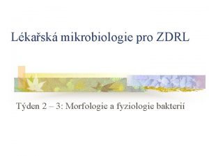 Lkask mikrobiologie pro ZDRL Tden 2 3 Morfologie