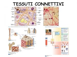 TESSUTI CONNETTIVI CLASSIFICAZIONE MORFOFUNZIONALE DEI TESSUTI CONNETTIVI TESSUTO