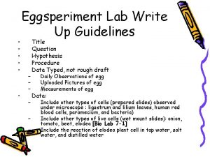 Eggsperiment Lab Write Up Guidelines Title Question Hypothesis