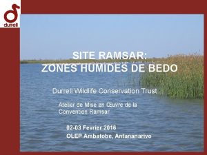 SITE RAMSAR ZONES HUMIDES DE BEDO Durrell Wildlife