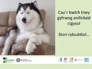 Caur bwlch trwy gyfrwng anifeliaid cigysol Stori rybuddiol