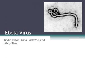 Ebola Virus Sadie Fuson Gina Cackovic and Abby