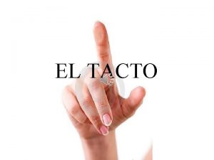 EL TACTO Qu es el TACTO Es uno