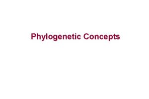 Phylogenetic Concepts Phylogenetic Relationships Phylogenetic relationships exist between