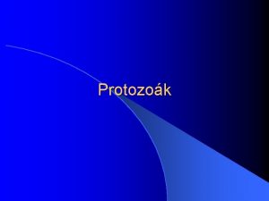 Protozok TOXOPLASMOSIS 1 Krokoz Toxoplasma gondii a sporullt