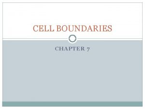 CELL BOUNDARIES CHAPTER 7 CELL MEMBRANE PLASMA MEMBRANE