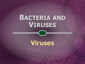 BACTERIA AND VIRUSES Viruses THE DISCOVERY OF VIRUSES