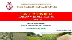 GOBIERNO REGIONAL DE LAMBAYEQUE GERENCIA REGIONAL DE AGRICULTURA