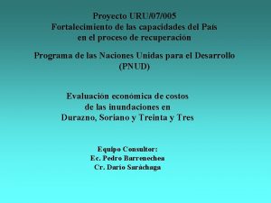 Proyecto URU07005 Fortalecimiento de las capacidades del Pas