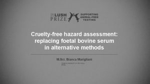 Crueltyfree hazard assessment replacing foetal bovine serum in