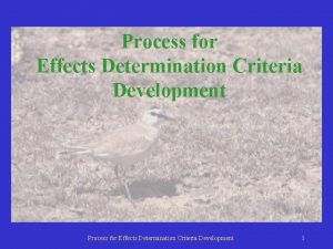 Process for Effects Determination Criteria Development 1 Criteria