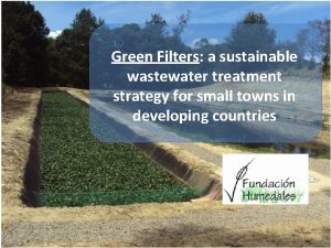 Green Filters a sustainable wastewater treatment strategy for