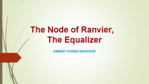 The Node of Ranvier The Equalizer AMMAR YASEEN