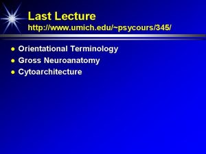 Last Lecture http www umich edupsycours345 Orientational Terminology