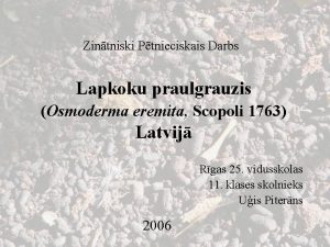 Zintniski Ptnieciskais Darbs Lapkoku praulgrauzis Osmoderma eremita Scopoli