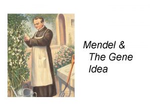 Mendel The Gene Idea Mendelian genetics Vocab Character