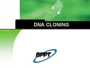 DNA CLONING siswa setyahadi Company LOGO Company Logo