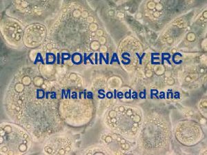 ADIPOKINAS Y ERC Dra Mara Soledad Raa Tejido