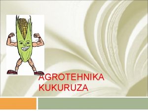 AGROTEHNIKA KUKURUZA PODJELA HIBRIDA KUKURUZA 1 PREMA NAINU