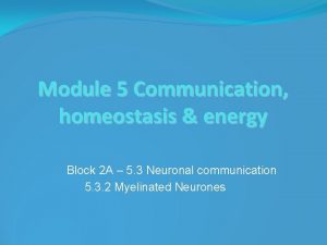 Module 5 Communication homeostasis energy Block 2 A