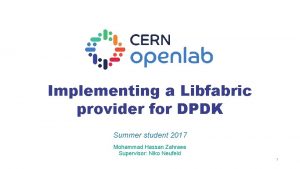 Implementing a Libfabric provider for DPDK Summer student