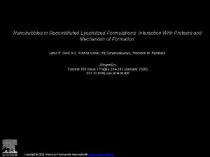 Nanobubbles in Reconstituted Lyophilized Formulations Interaction With Proteins